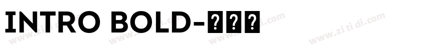 INTRO BOLD字体转换